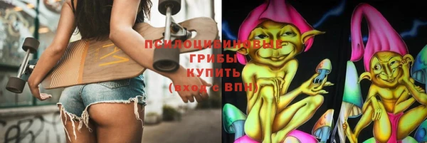 ГАЛЛЮЦИНОГЕННЫЕ ГРИБЫ Дмитровск