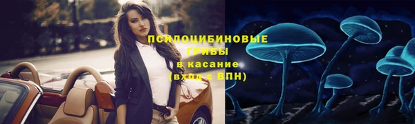 ГАЛЛЮЦИНОГЕННЫЕ ГРИБЫ Дмитровск