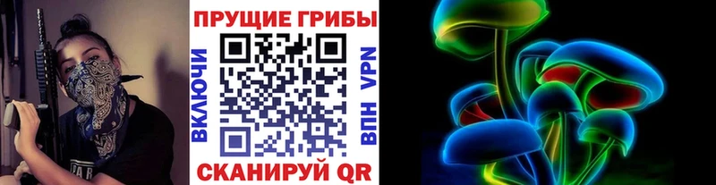 Псилоцибиновые грибы Psilocybine cubensis  Каргат 