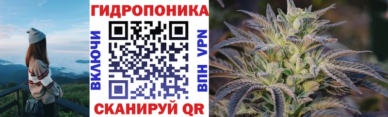 хочу наркоту  Каргат  Бошки марихуана план 